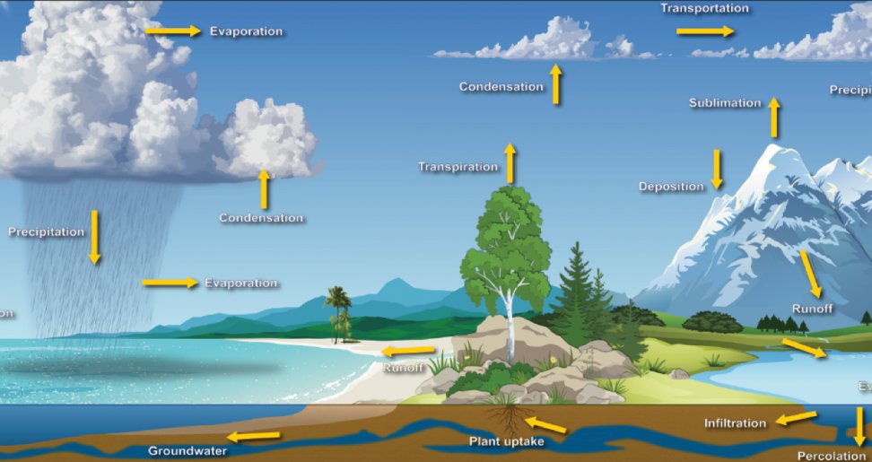 The Water Cycle: Earth's Continuous Journey