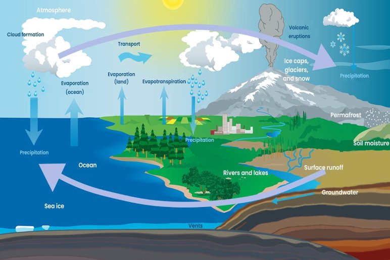 The Importance of the Water Cycle