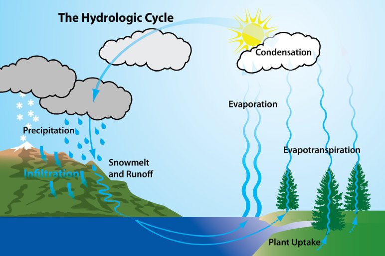 The Water Cycle and Climate Change