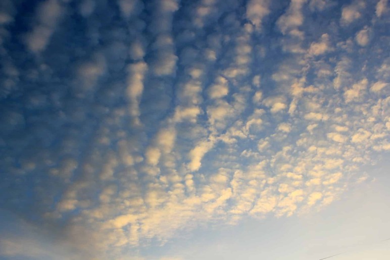 Cirrocumulus